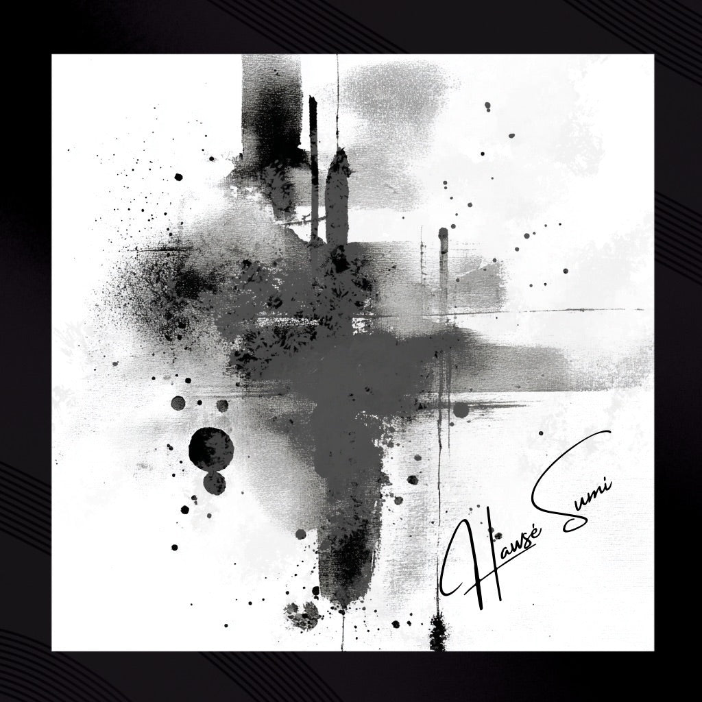 Black & White Discipline: Fashion-Inspired Abstract Art by Hawsé Sumi
